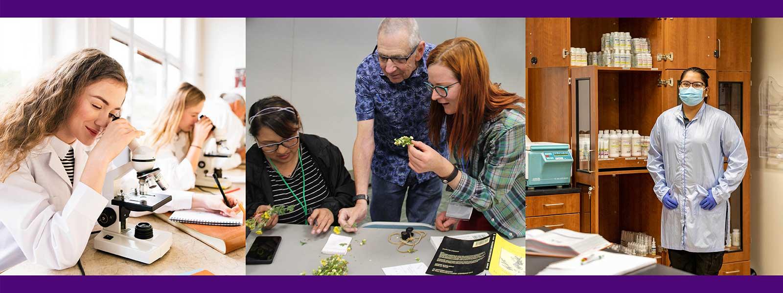 学生在实验室里戴着安全装备, 学生和老师正在检查植物, 学生在看显微镜